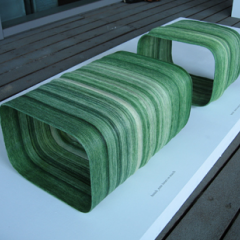 'The Idea of a Tree' by Thomas Traxler © 2008 Thomas Traxler